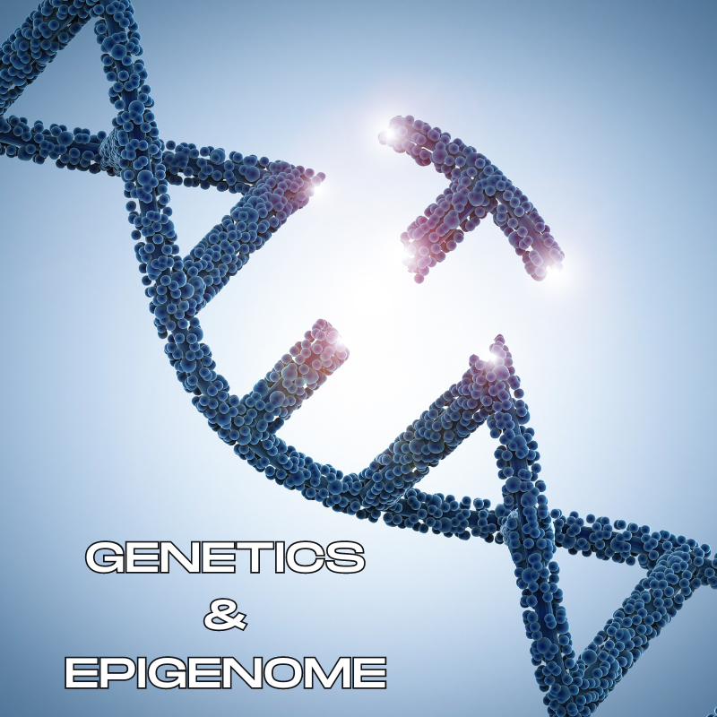 Understanding Genetics and the Epigenome: How to Shape a Healthier Future for You and Your Family